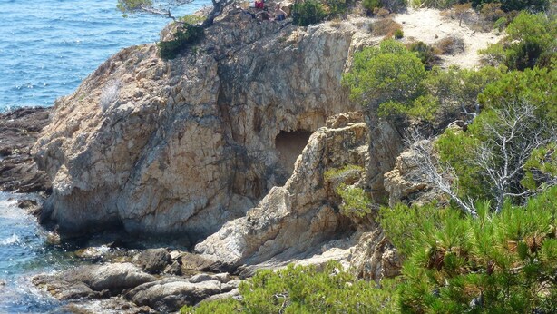 A rocky coastal landscape with a prominent tree on a cliff overlooking the sea. - Villa with private pool . Seaside and countryside. Beach 10 min walk. (Le Pradet)