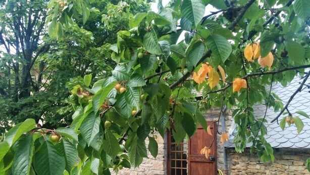 Un bâtiment en pierre avec une porte en bois et un banc devant.