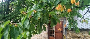 Detached house with garden in the village of Quézac