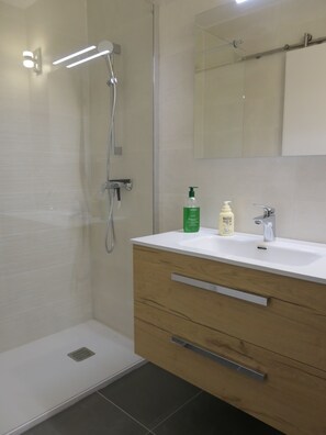 Shower, hair dryer, towels, soap