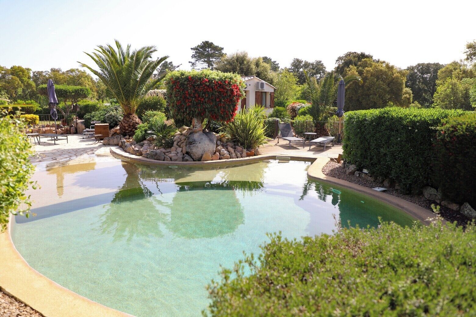 Una piscina circondata da vegetazione rigogliosa, un'area patio con sedie e un piccolo edificio sullo sfondo.