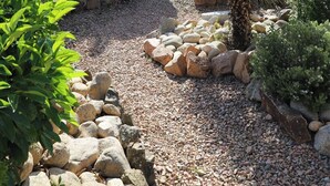 Un giardino con piante diverse, rocce e un sentiero.