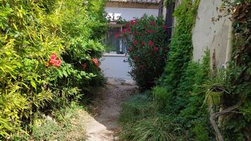 DĂ©tail de lâextĂ©rieur