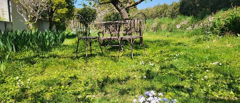 Boendeområde