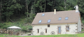 House, charming cottage in the Cantal