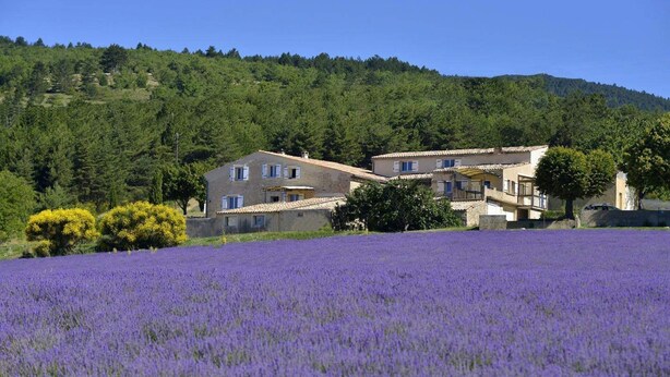 A large building with multiple windows and a balcony, surrounded by a lavender field and a forested hillside. -  Between Ventoux and Luberon *** (Aurel)