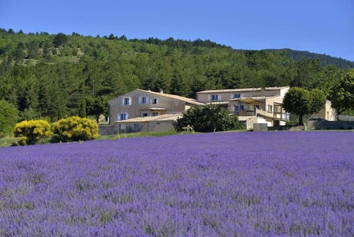  Zwischen Ventoux und Luberon ***