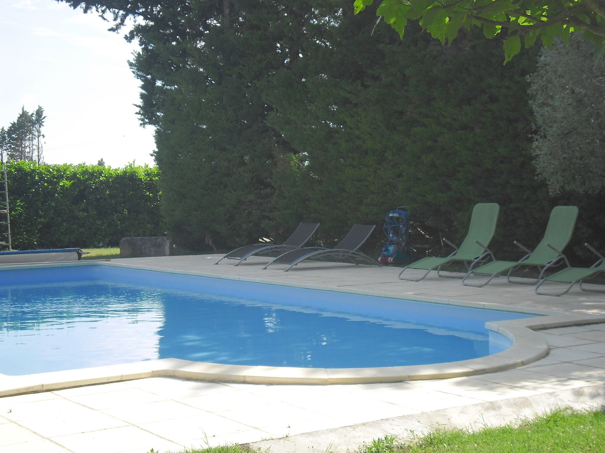 A swimming pool with a tiled deck, surrounded by green lawn chairs and a large tree.