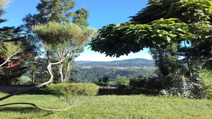 A grassy landscape with trees and a distant view of hills.