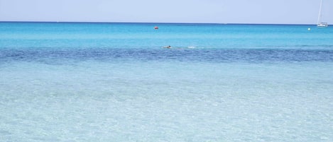 Playa