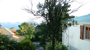 Un quartier résidentiel avec un bâtiment blanc, un arbre et une vue sur l’océan.