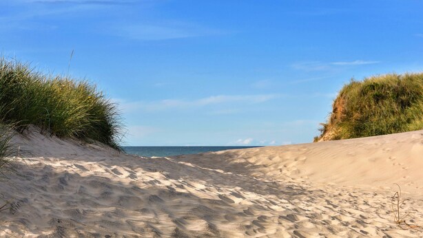 Una playa arenosa con dunas y vegetación escasa.
