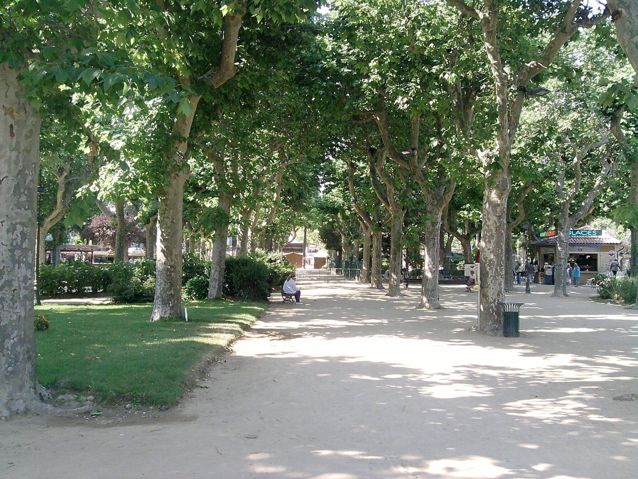 allée du parc
