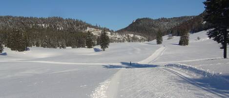 Un paisaje nevado con cielo despejado, una pista de esquí y una montaña boscosa al fondo.