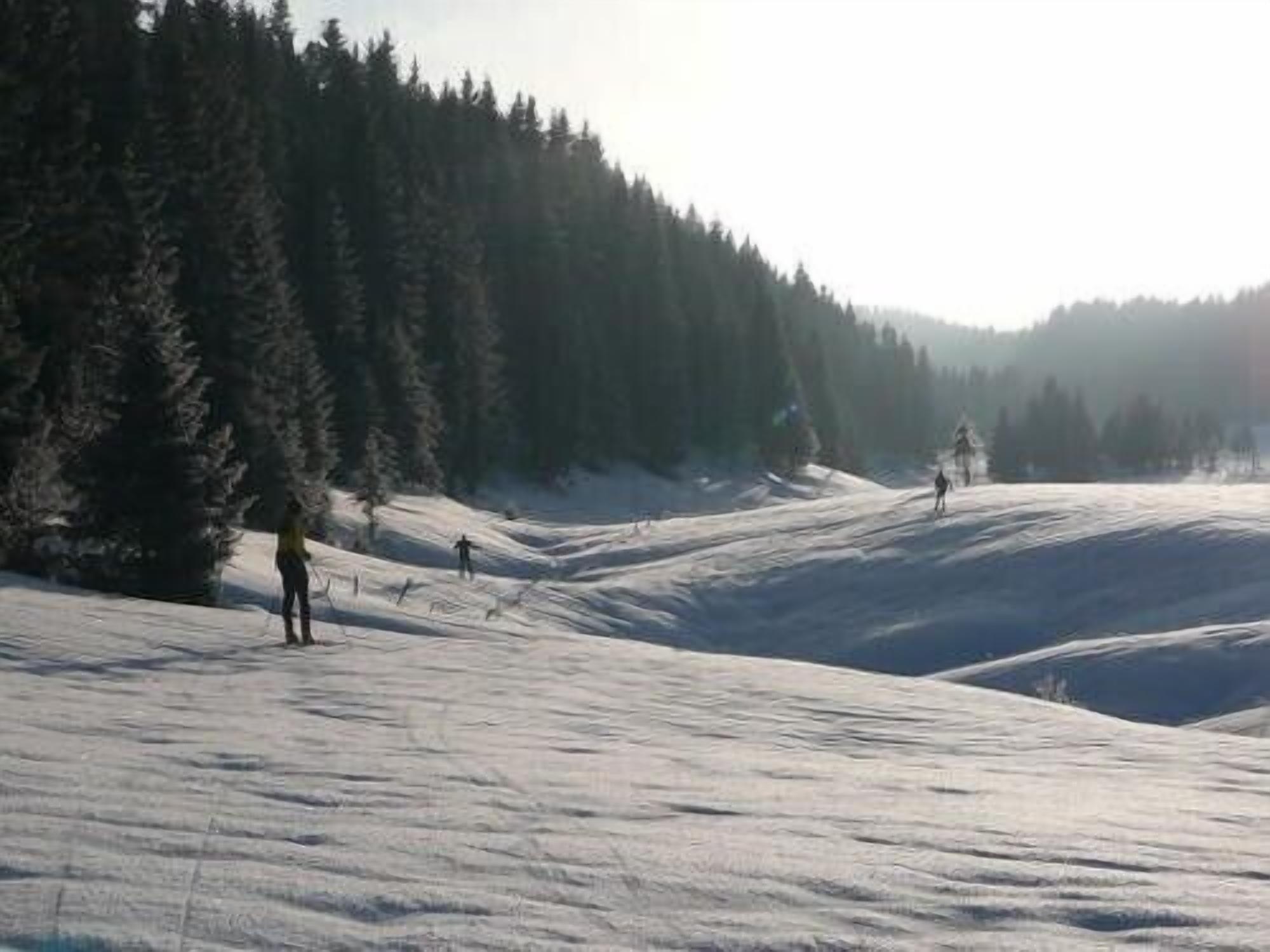 A snowy landscape with a forested hill and a person skiing.