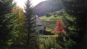 A house surrounded by dense forest and a hilly landscape. - Renovated 120 square metre gîte in old farmhouse (La Pesse)