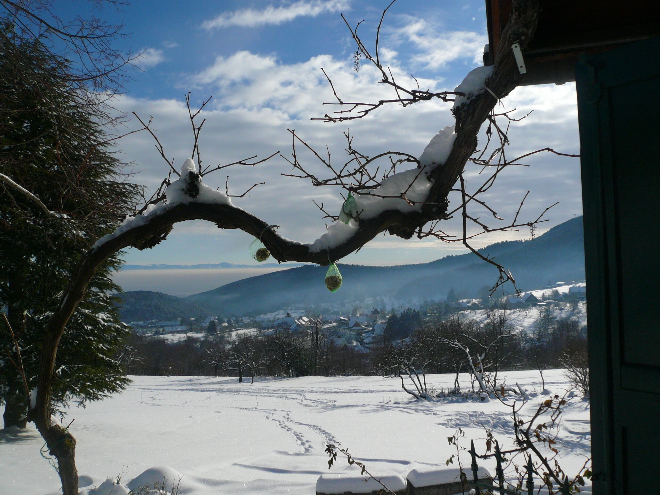 Paisatge nevós amb una branca d'arbre coberta de neu i una vista d'un poble llunyà.