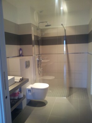 Douche, séchoir à cheveux, serviettes fournies, papier de toilette