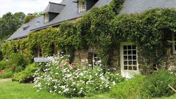 A stone house with a sloped roof, ivy-covered walls, and a garden with white flowers. - Holiday cottage near the sea that can accommodate 11 people (Argol)