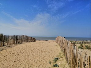 Ein sandiger Strand mit Holzzaun und vereinzelter Vegetation.