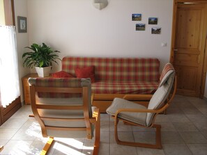 Televisión, reproductor de DVD y libros 