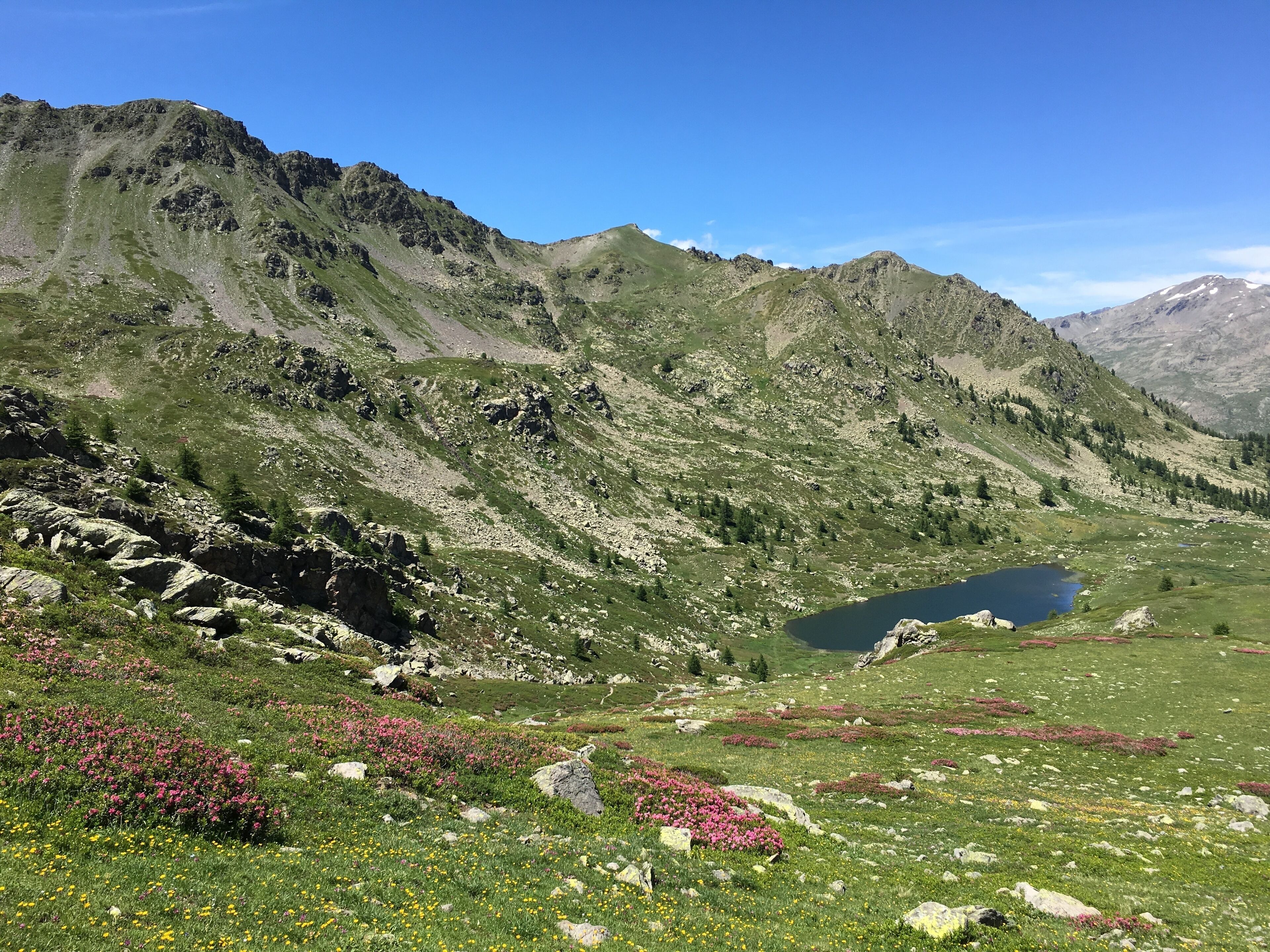 A mountainous landscape with a lake, rocky terrain, and patches of wildflowers.