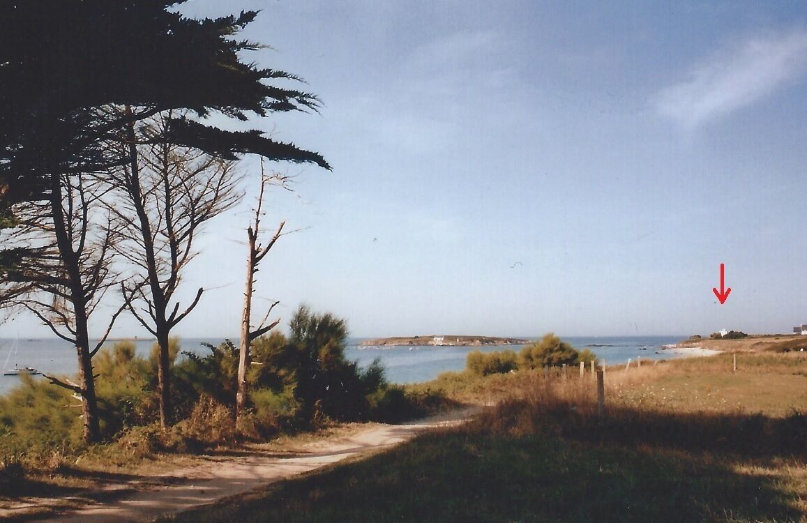 A coastal path with trees, a dirt road, and a view of the sea.
