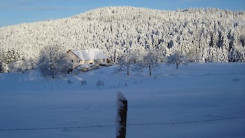Sneeuw- en skisporten
