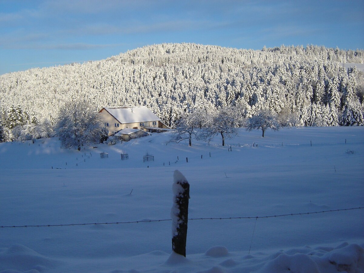 Image de profil de l’hôte