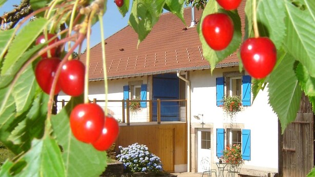 Een huis met een bruin dak, blauwe luiken en een tuin met bloemen en gazon.