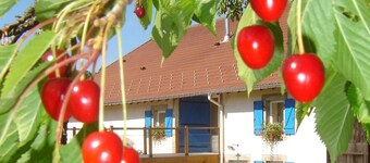 verblijf midden in de natuur tussen bossen en weiden  