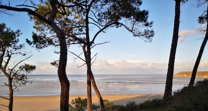 Cottage 7 bis 9 Personen in der Bucht von Saint Brieuc 200 m vom Strand entfernt!