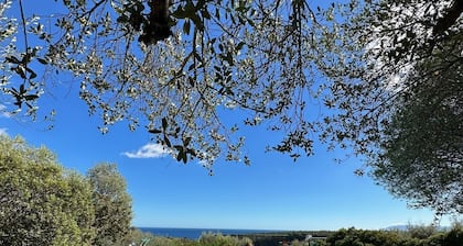 Magnífica finca de 2 hectáreas con vistas al mar.