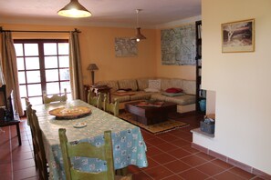 TV, fireplace, DVD player, books