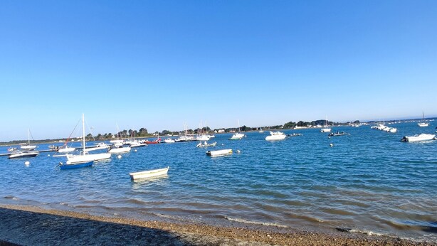 A marina with various boats docked.
