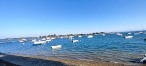 Un puerto deportivo con varias embarcaciones amarradas.