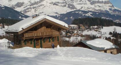 Lovely little cottage on the edge of the slopes, beautiful view of Mont Blanc