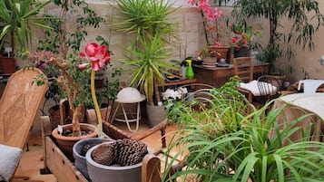 Terras