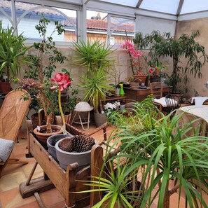 Une véranda agrémentée de diverses plantes en pot, d’un banc en bois et offrant une vue sur la mer grâce à de grandes fenêtres.