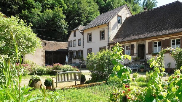 A garden with a bench, surrounded by lush greenery and potted plants. - Charming cottage classified 3 stars in an old renovated mill. Comfort. (Schoenbourg)