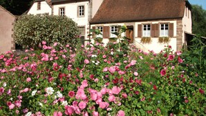 A two-story house with a brick roof and a garden full of pink flowers in front. - Charming cottage classified 3 stars in an old renovated mill. Comfort. (Schoenbourg)