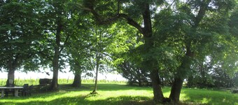 Apartment in the heart of a vineyard in Montréal, classified most beautiful village in France