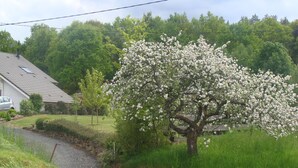 Un barrio residencial con una casa, un árbol con flores blancas y un camino de grava.