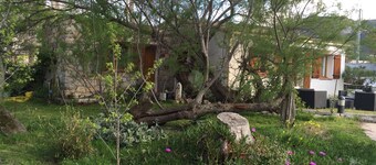 House in Calvi, on the edge of the pine woods and the beach