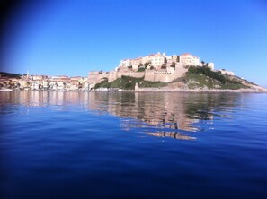 Pool - House in Calvi, on the edge of the pine woods and the beach (Calvi)