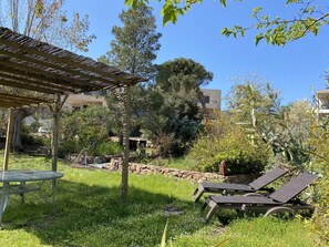 Outdoor dining - House in Calvi, on the edge of the pine woods and the beach (Calvi)