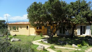 Un bâtiment jaune avec un toit en tuiles, un chemin pavé et un grand arbre au premier plan.