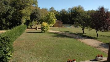 Terrein van de accommodatie