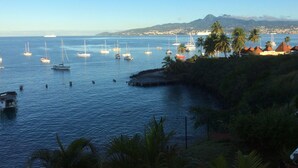 A coastal marina with multiple sailboats docked, surrounded by palm trees and a mountainous backdrop.