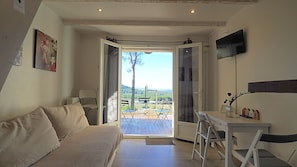 TV, fireplace, DVD player, books - Villa in Provence: Hollyday, Week End with friends, meetings: close to Marseille (Velaux)